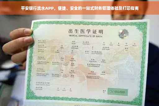 平安银行流水APP，便捷、安全的一站式财务管理体验及打印指南