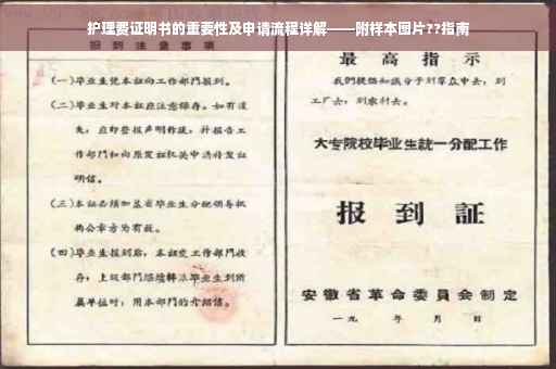 护理费证明书的重要性及申请流程详解——附样本图片??指南