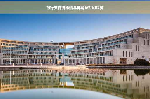 银行支付流水清单详解及打印指南