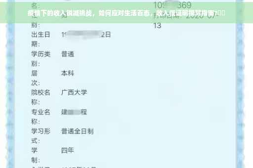疫情下的收入锐减挑战，如何应对生活百态，收入低证明撰写指南?⚡️