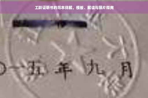 工龄证明书的范本详解，模板、解读与图片指南