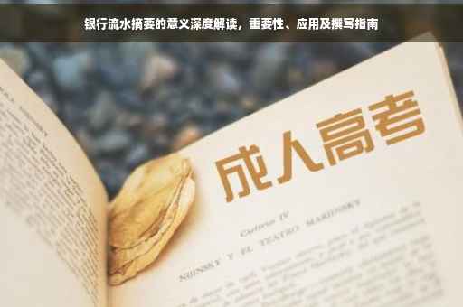 银行流水摘要的意义深度解读，重要性、应用及撰写指南
