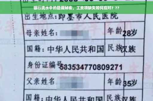 银行流水中的隐藏秘密，工资项缺失如何应对？??