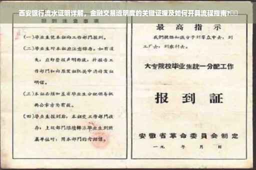 西安银行流水证明详解，金融交易透明度的关键证据及如何开具流程指南?⚡️