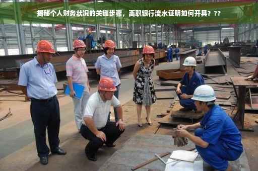 揭秘个人财务状况的关键步骤，离职银行流水证明如何开具？??