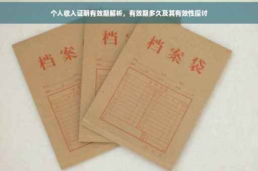 个人收入证明有效期解析，有效期多久及其有效性探讨