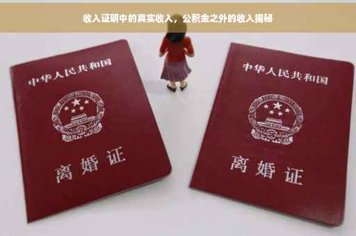 收入证明中的真实收入，公积金之外的收入揭秘