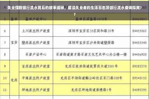 失业保险银行流水背后的故事揭秘，解读失业者的生活百态及银行流水查询指南??