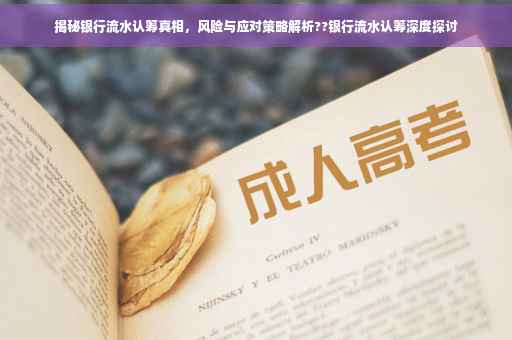 揭秘银行流水认筹真相，风险与应对策略解析??银行流水认筹深度探讨