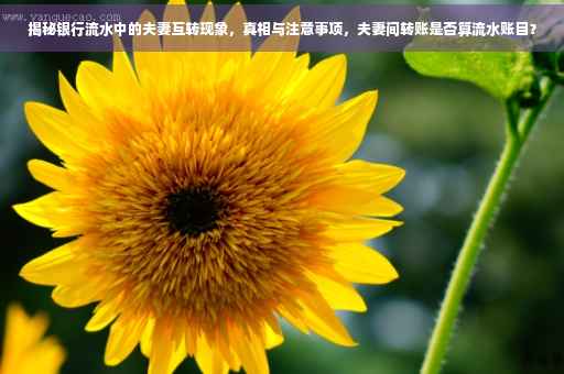 揭秘银行流水中的夫妻互转现象，真相与注意事项，夫妻间转账是否算流水账目？