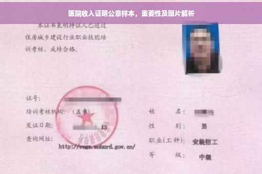 医院收入证明公章样本，重要性及图片解析
