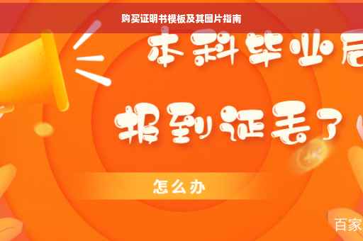 购买证明书模板及其图片指南