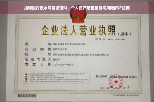 揭秘银行流水与签证理财，个人资产增值策略与风险解析指南