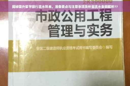 揭秘国外留学银行流水账单，准备要点与注意事项及所需流水金额解析??