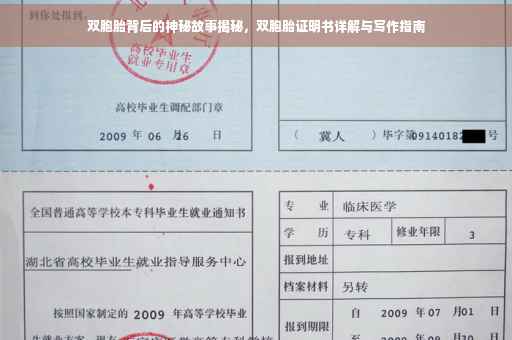 双胞胎背后的神秘故事揭秘，双胞胎证明书详解与写作指南