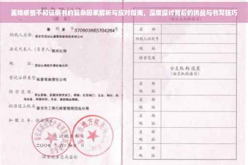 离婚感情不和证明书的复杂因素解析与应对指南，深度探讨背后的挑战与书写技巧