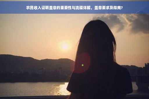 农民收入证明盖章的重要性与流程详解，盖章要求及指南?