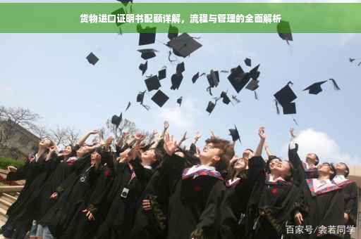 货物进口证明书配额详解，流程与管理的全面解析
