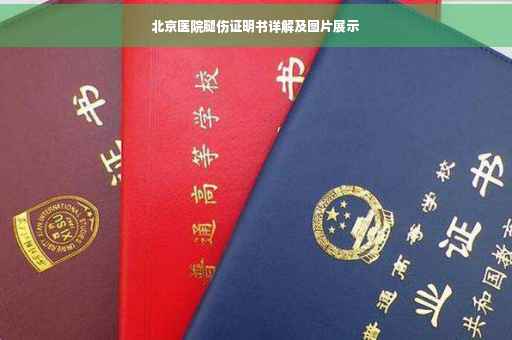 北京医院腿伤证明书详解及图片展示