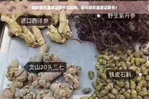 超龄团员离团证明书写指南，如何撰写离团证明书？