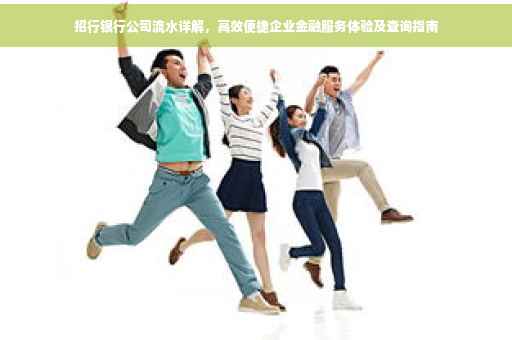 招行银行公司流水详解，高效便捷企业金融服务体验及查询指南