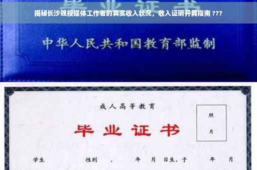 揭秘长沙晚报媒体工作者的真实收入状况，收入证明开具指南 ???