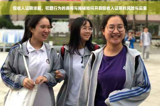 假收入证明详解，犯罪行为的真相与揭秘如何开具假收入证明的风险与后果