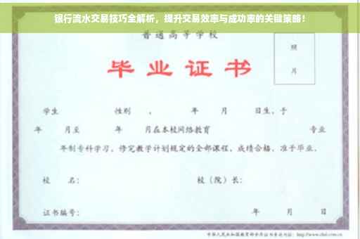 银行流水交易技巧全解析，提升交易效率与成功率的关键策略！