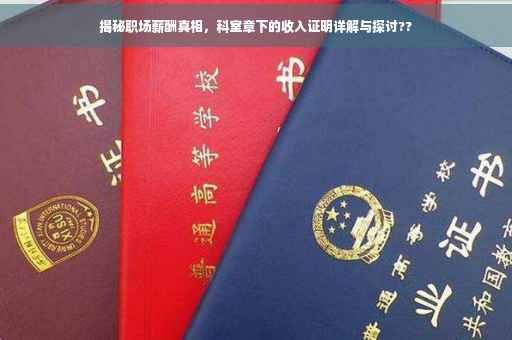 揭秘职场薪酬真相，科室章下的收入证明详解与探讨??