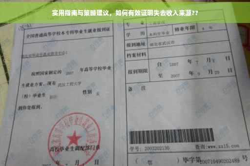 实用指南与策略建议，如何有效证明失去收入来源??