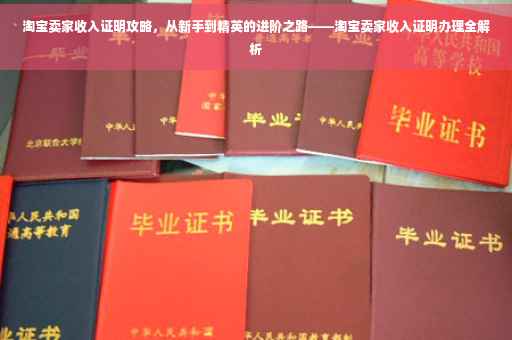 淘宝卖家收入证明攻略，从新手到精英的进阶之路——淘宝卖家收入证明办理全解析