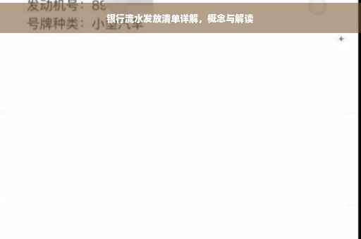 银行流水发放清单详解，概念与解读