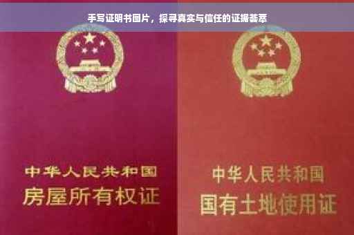手写证明书图片，探寻真实与信任的证据荟萃