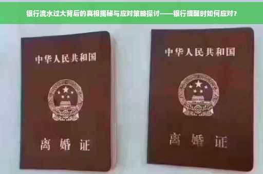 银行流水过大背后的真相揭秘与应对策略探讨——银行提醒时如何应对？