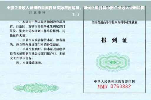 小微企业收入证明的重要性及实际应用解析，如何正确开具小微企业收入证明指南?⚡️