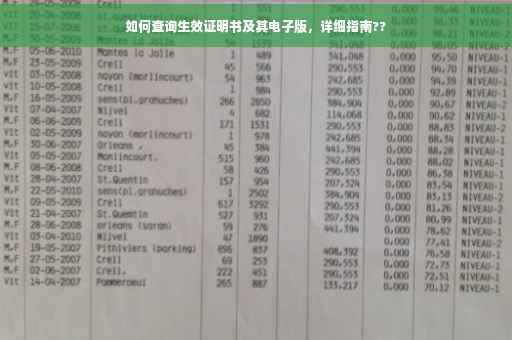 如何查询生效证明书及其电子版，详细指南??