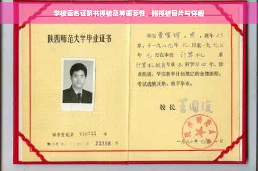 学校更名证明书模板及其重要性，附模板图片与详解