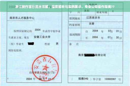 浙江制作银行流水详解，深度解析与实例展示，专业公司操作指南??
