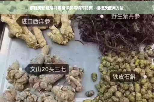 解除劳动证明书表格详解与填写指南 - 模板及使用方法