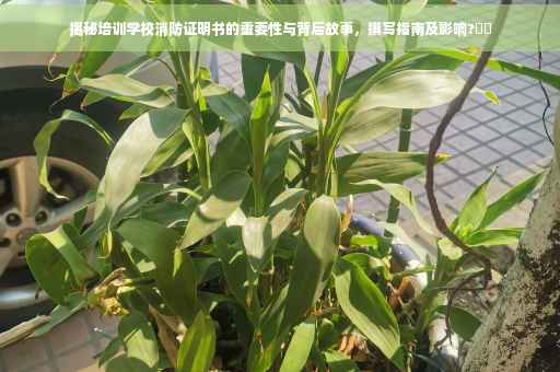 揭秘培训学校消防证明书的重要性与背后故事，撰写指南及影响?⚡️