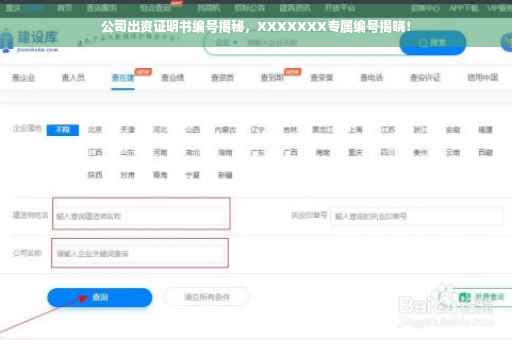 公司出资证明书编号揭秘，XXXXXXX专属编号揭晓！