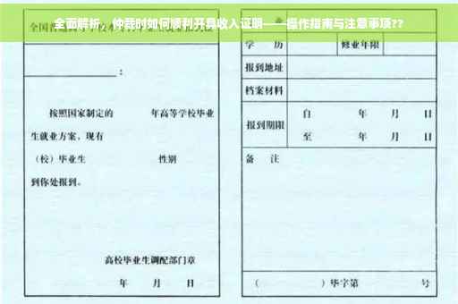 全面解析，仲裁时如何顺利开具收入证明——操作指南与注意事项??