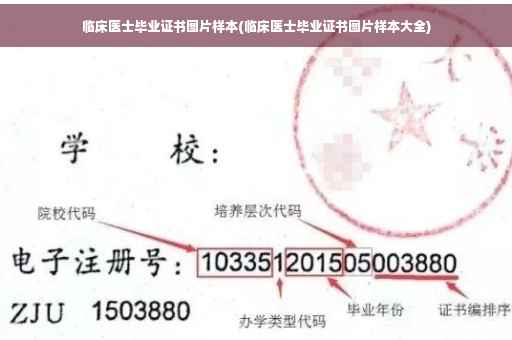 临床医士毕业证书图片样本(临床医士毕业证书图片样本大全)