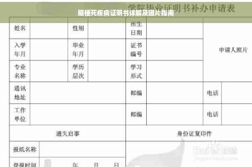 脑梗死疾病证明书详解及图片指南