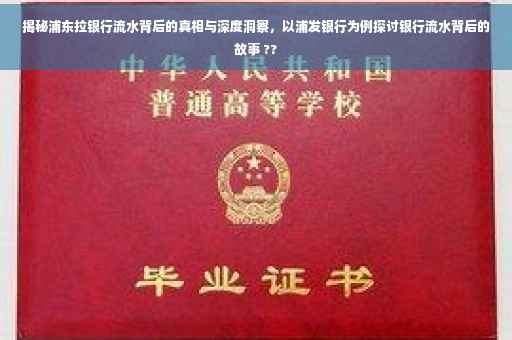 揭秘浦东拉银行流水背后的真相与深度洞察，以浦发银行为例探讨银行流水背后的故事 ??