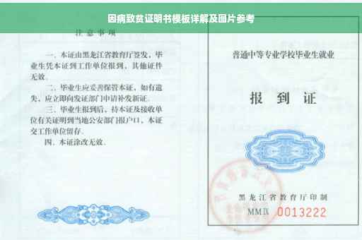 因病致贫证明书模板详解及图片参考