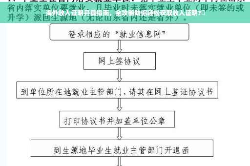 海外收入证明开具指南，全攻略助你轻松获取收入证明?✨