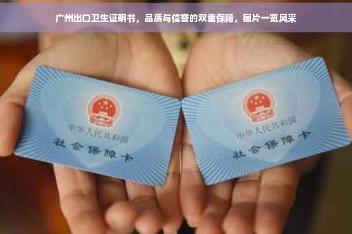 广州出口卫生证明书，品质与信誉的双重保障，图片一览风采