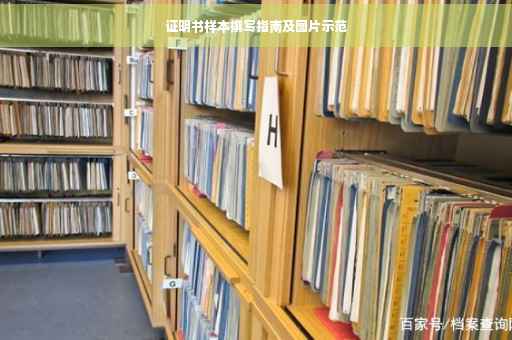 证明书样本撰写指南及图片示范