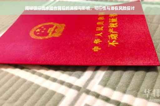 揭秘银行流水操作背后的真相与影响，可行性与潜在风险探讨